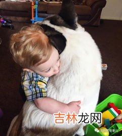 吃醋蛋液的危害,醋蛋液的副作用