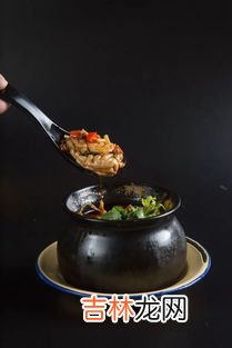 海灵菇是章鱼的吸盘吗,海灵菇是什么东西