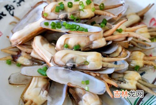 蛏子的鼻子为什么会掉,蛏王为什么要吐掉鼻子