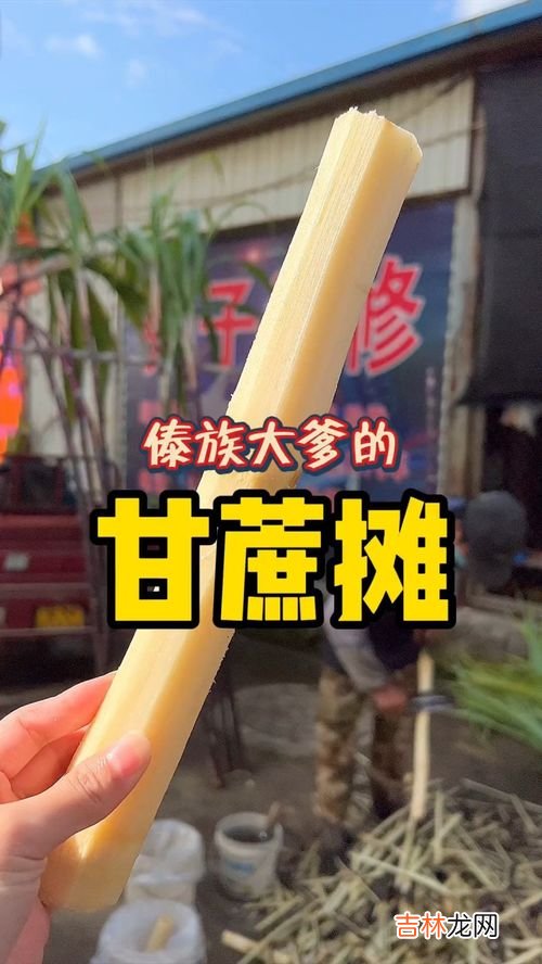 一根甘蔗多少斤左右,1.5斤甘蔗有多少