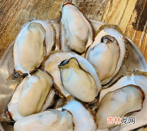 清蒸海蛎子几分钟蒸好,清蒸海蛎子蒸多久