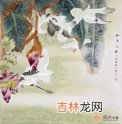 芭蕉的象征意义是什么,芭蕉象征着什么意义