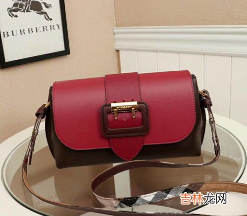 泰格斯包属于什么档次,买电脑包什么牌子好