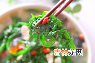 茼蒿菜怎么炒,茼蒿怎么炒好吃