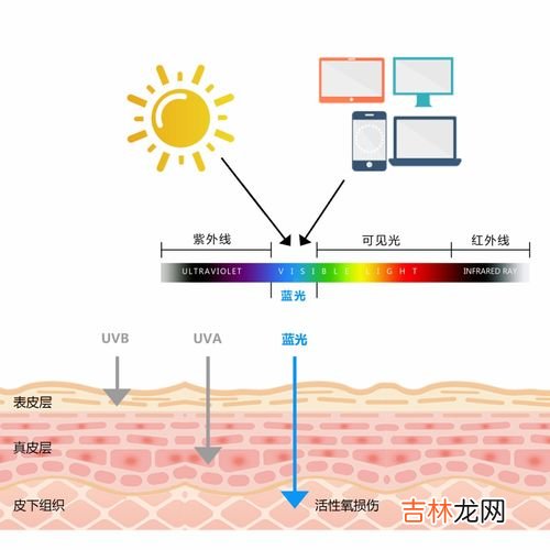 有害蓝光的波长是多少,蓝光消毒对猫咪有害吗