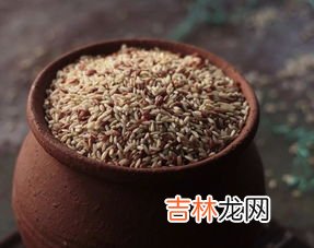 纤维素片作用,纤维素有什么好处