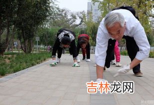 爬行运动危害,蜥蜴爬行健身有什么利弊