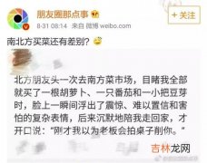 晚安与安的区别,晚安和安各代表什么意思？