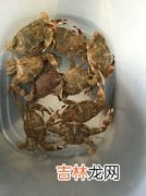 螺狮是河里的还是海里,螺狮粉是哪里产的