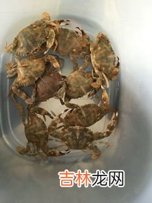 螺狮是河里的还是海里,螺狮粉是哪里产的