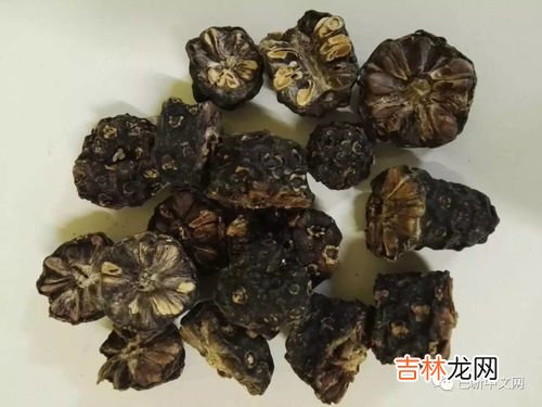 美乐家诺丽果的功效与作用,美乐家诺丽果的功效与作用