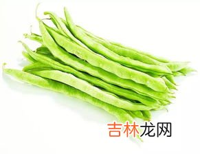 四季豆图片,四季豆是什么样子