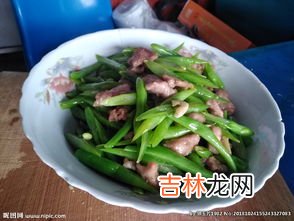 四季豆图片,四季豆是什么样子