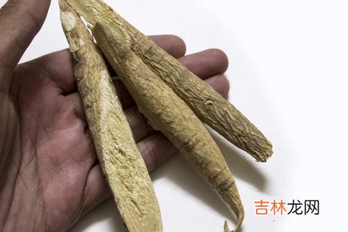 天麻子的功效与作用,天麻子不浸泡可以直接炖排骨吗？