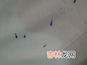 衣服上墨汁用什么才能洗掉,衣服墨水怎么洗掉妙招