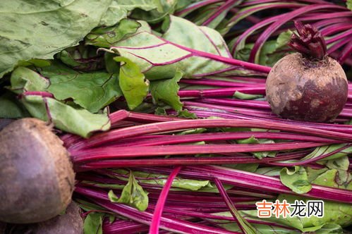 白糖和冰糖的区别在哪,冰糖和白糖有什么区别