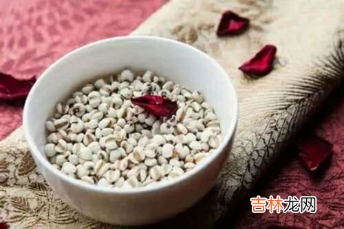 薏仁水,薏米水是什么