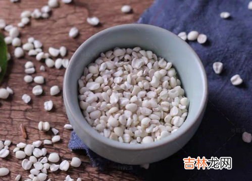薏仁水,薏米水是什么
