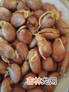 煮菠萝蜜核为什么要加盐,菠萝蜜核的吃法