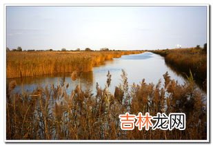 黄河入海口在山东哪里,黄河入海口在哪里