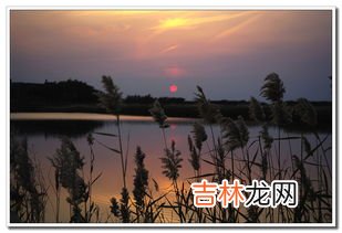 黄河入海口在山东哪里,黄河入海口在哪里