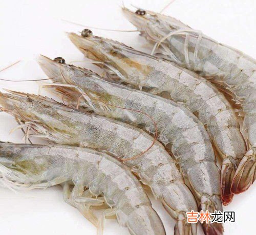 30-40大虾大还是40-50大虾大,2030的虾和4050的虾哪个大？