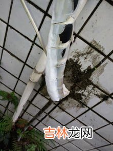 空调里面结冰了怎么办,空调里面结冰是怎么回事？怎么办？