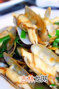 蛏子鼻子为什么要放掉,蛏子身上掉下来的鼻子是什么？