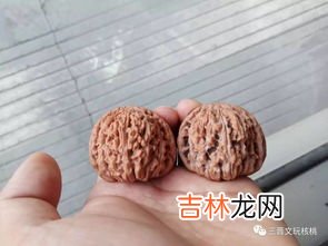 把玩核桃和普通核桃一样不,文玩核桃 核桃树是和普通的核桃树一样吗？