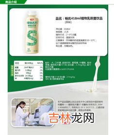 植物活力乳酸菌的作用,植物乳杆菌的作用