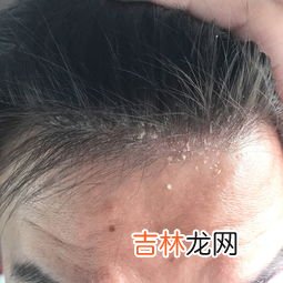 头七二七三七五七什么讲究,五七是什么意思?有什么讲究?