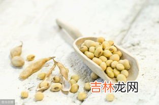 黄豆发芽能吃不,发芽的黄豆能吃吗