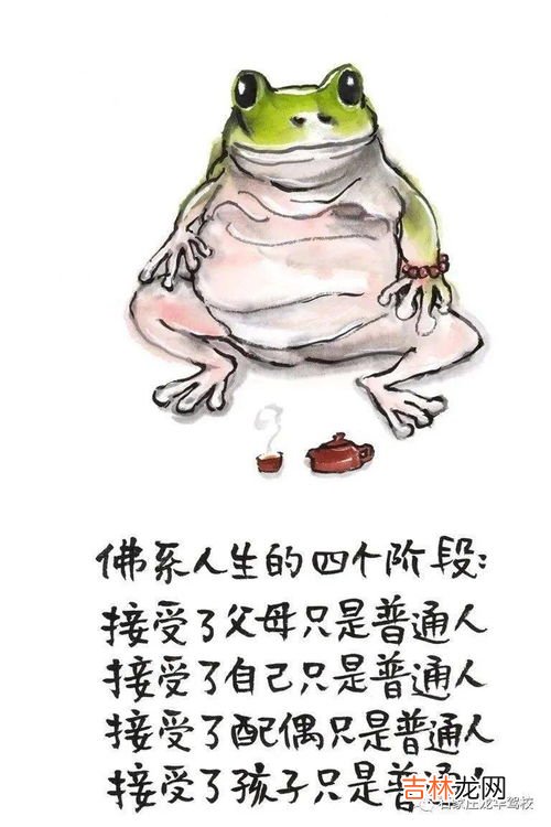 水母的人生哲理,水母作文300字