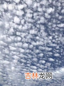 鱼鳞云和地震云的区别有什么,地震云和鱼鳞云的区别