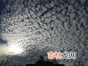 鱼鳞云和地震云的区别有什么,地震云和鱼鳞云的区别