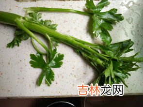 野芹菜要不要焯水,野芹菜冰花煎饺最正宗的做法