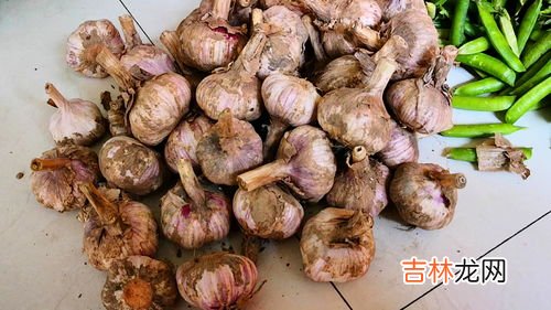 一斤大蒜大约多少头,一斤干大蒜大概有多少头？