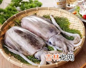 墨鱼是海鲜吗,墨鱼属于什么动物?