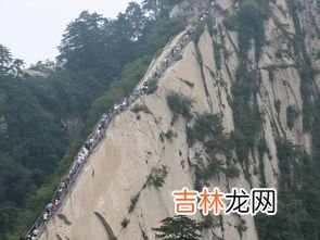 濡沫江湖苍龙山山顶怎么去,濡沫江湖苍龙山宝藏在哪