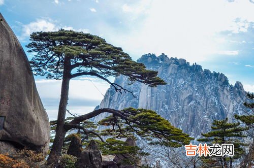 濡沫江湖苍龙山山顶怎么去,濡沫江湖苍龙山宝藏在哪