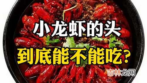 小龙虾头能吃吗,小龙虾的头可以吃吗