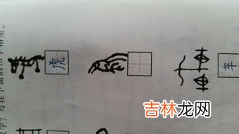 甲骨文属于什么文字,甲骨文是一种什么文字？