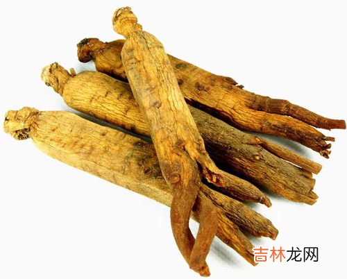 甘葛子的功效和作用,生葛根的功效与作用