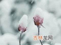 雪花别称有哪些,“雪花”的古代称谓有哪些？