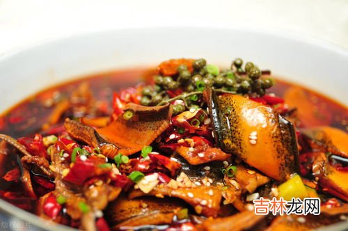 鳝鱼吃什么,黄鳝吃什么食物