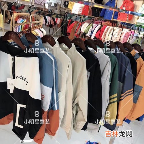 马甲外套儿童品牌排行榜,羽绒马甲要怎么洗 羽绒马甲要买哪个牌子