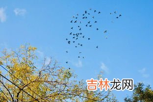 秋天是从几月开始到几月份结束,秋季是哪几个月份?