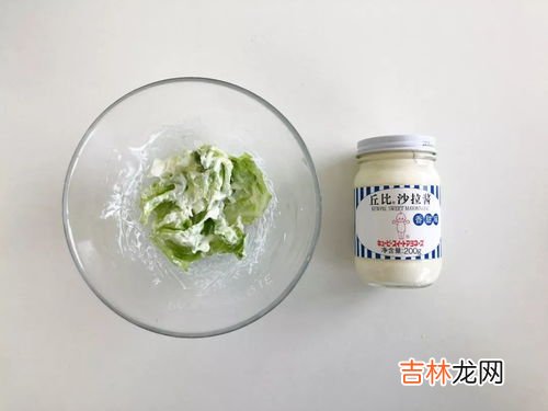 炼乳和沙拉酱的区别有哪些,沙拉酱是炼乳吗
