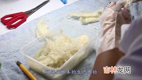 泡小燕燕窝饮是真的燕窝吗,泡小燕是银耳还是燕窝