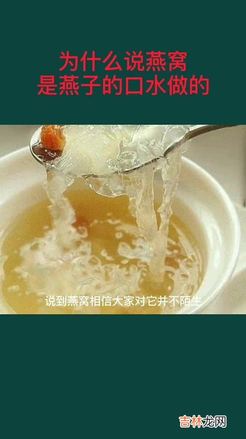 泡小燕燕窝饮是真的燕窝吗,泡小燕是银耳还是燕窝